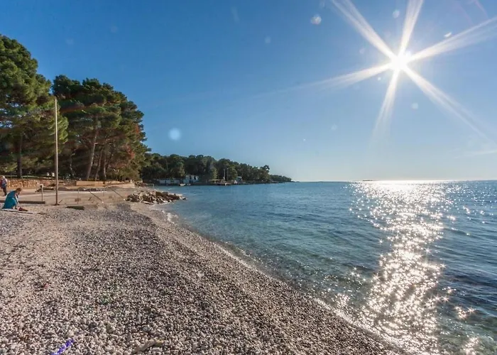 One-bedroom 펜션 *